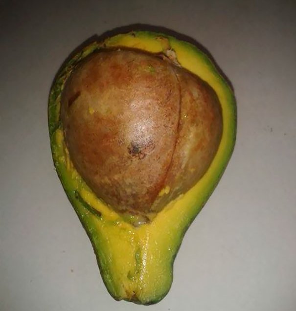 20+ people who are utterly unlucky in eating Picture 4