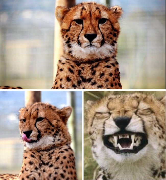 20 proofs that this world has only 3 types of people, which one are you? Picture 18