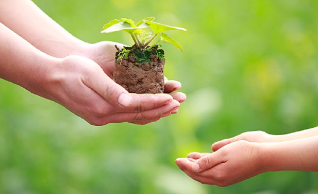 20 real life lessons that help you live better and more meaningful Picture 10