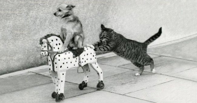 20 things to give up to be happier before the new year Picture 3