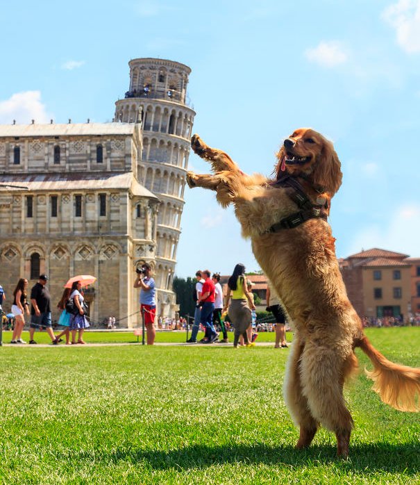 20+ types of imagery taking virtual life with the leaning tower of Pisa Picture 3