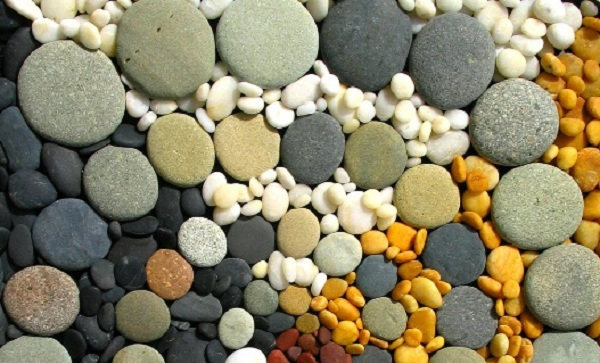 20 types of strange objects discovered in the human body make you 'floaters' Picture 11