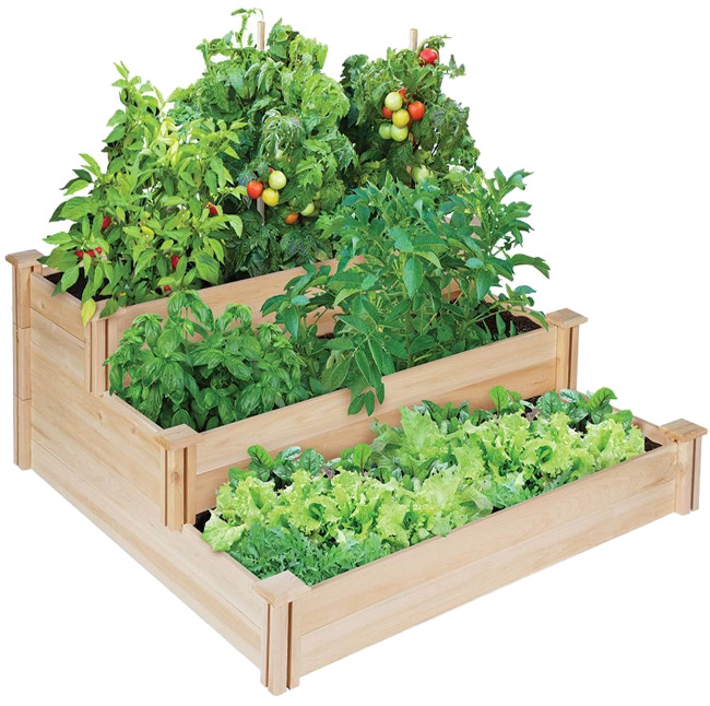 20 useful gardening tips not everyone knows Picture 1