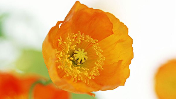 200 Full HD computer wallpapers, varied themes Picture 23