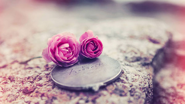 200 Full HD computer wallpapers, varied themes Picture 29