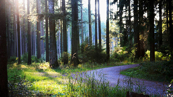 200 Full HD computer wallpapers, varied themes Picture 31