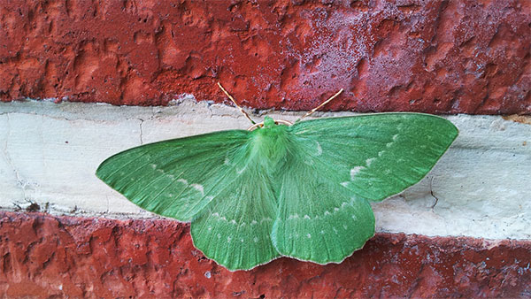 200 Full HD computer wallpapers, varied themes Picture 35