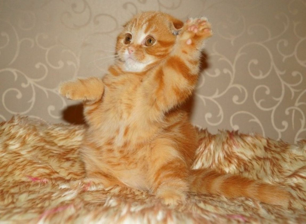 21 beautiful photos you should see right away Picture 21