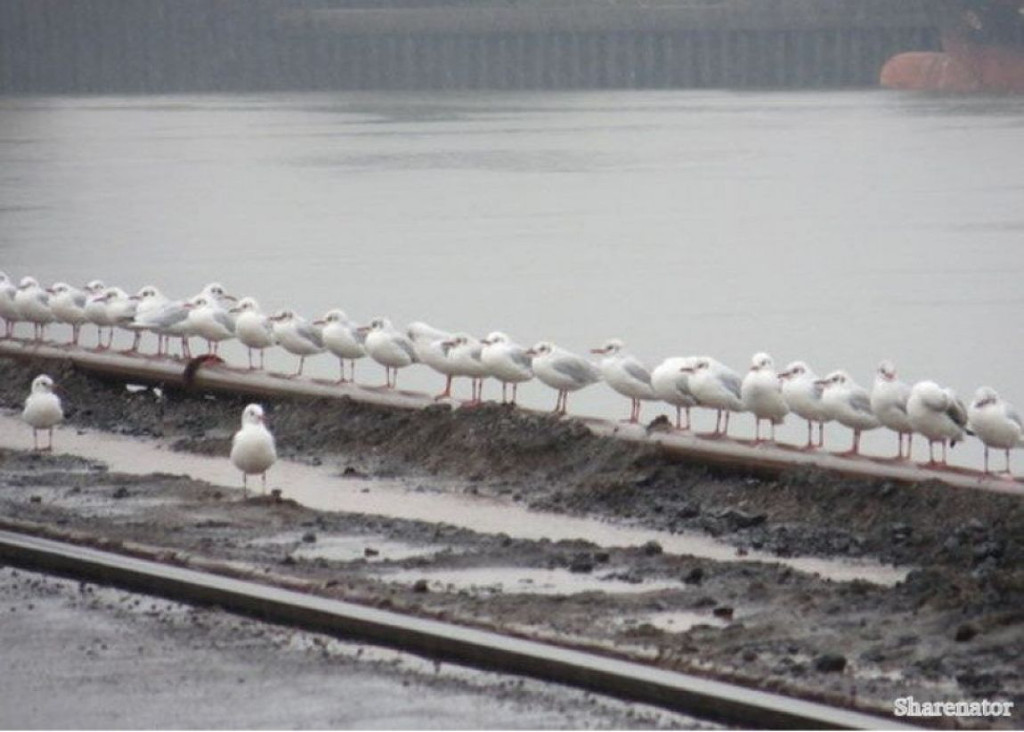 21 beautiful photos you should see right away Picture 5