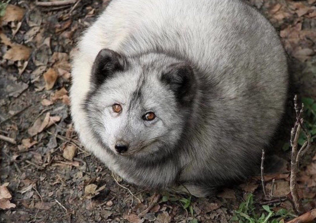 21 beautiful photos you should see right away Picture 6