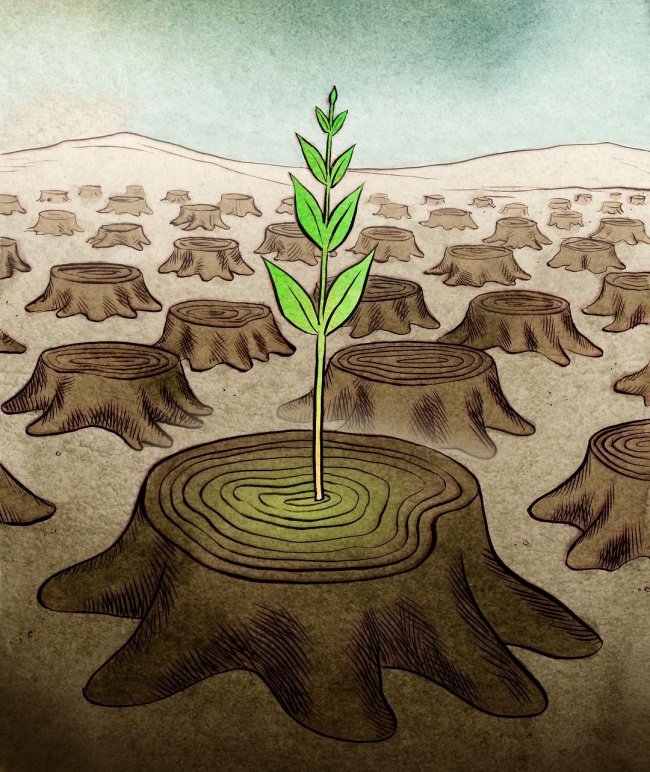 21 images illustrate the reverse side of real life Picture 22