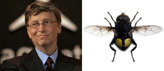 21 things you may not know about Microsoft & Bill Gates Picture 6
