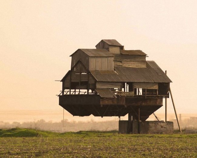 21 'weird' photos are real that you can't believe your eyes Picture 3