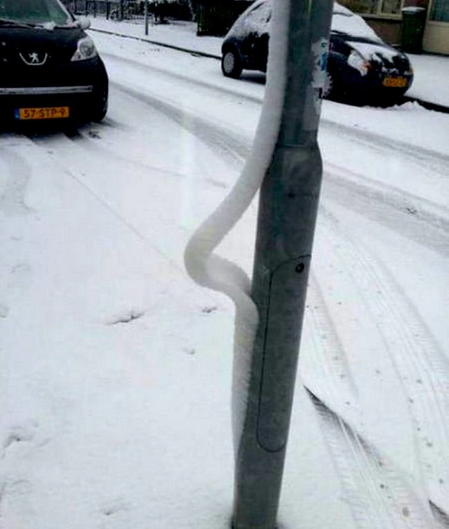 21 'weird' photos are real that you can't believe your eyes Picture 8