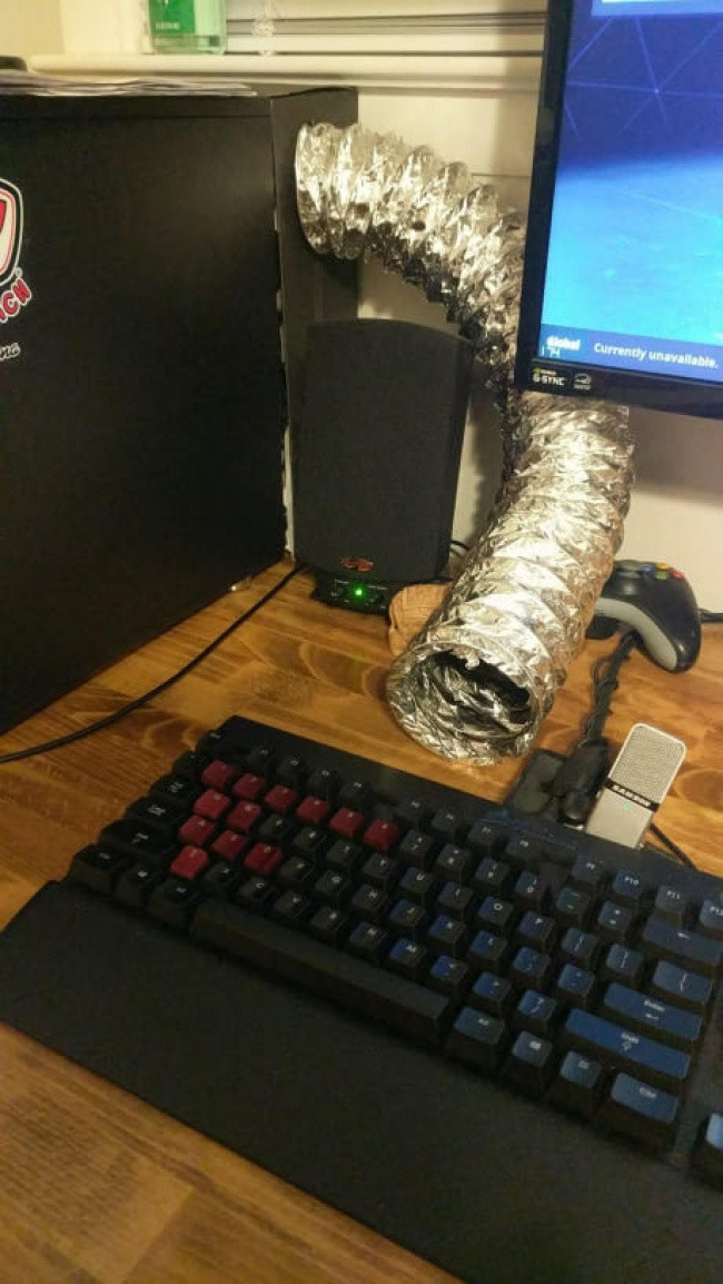 22 photos prove human creativity is boundless Picture 7