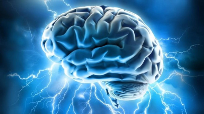 23 false scientific facts that we still believe Picture 19