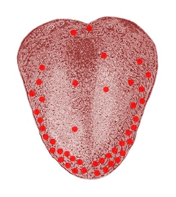 23 false scientific facts that we still believe Picture 2