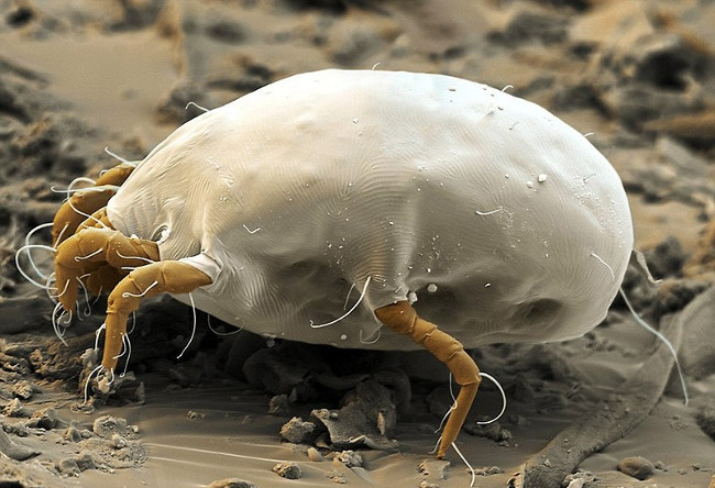 23 truths make you afraid of everyday tasks Picture 18