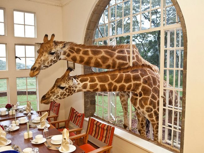 23 unique hotels 'just look and want to come in immediately' Picture 44