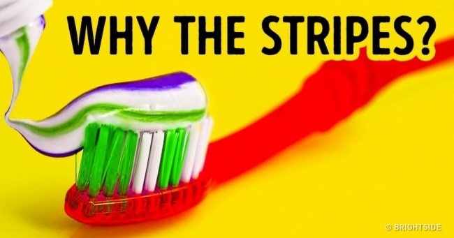 24 extremely interesting facts you may not know yet Picture 8