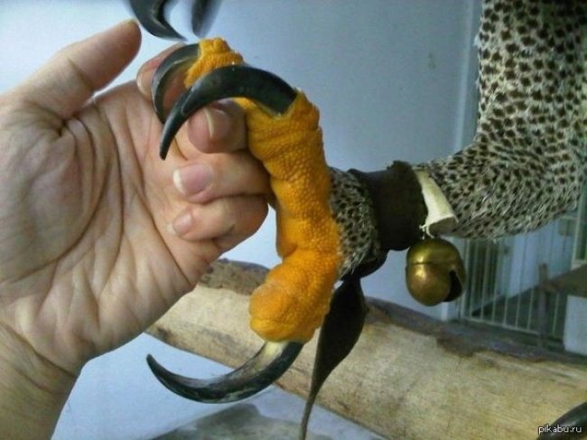 24 interesting things in life you may not know Picture 19