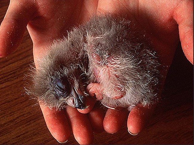 24 interesting things in life you may not know Picture 20