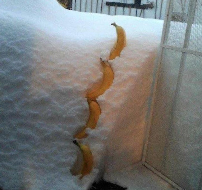 25 creative actions make your life much easier to breathe Picture 27