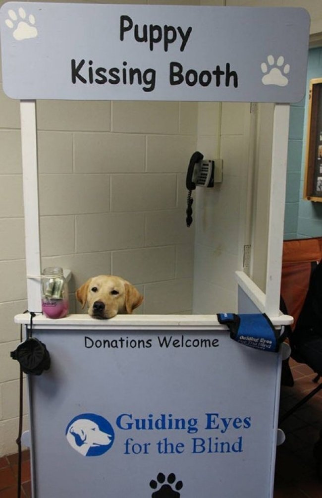 25+ creative designs make life easier Picture 24