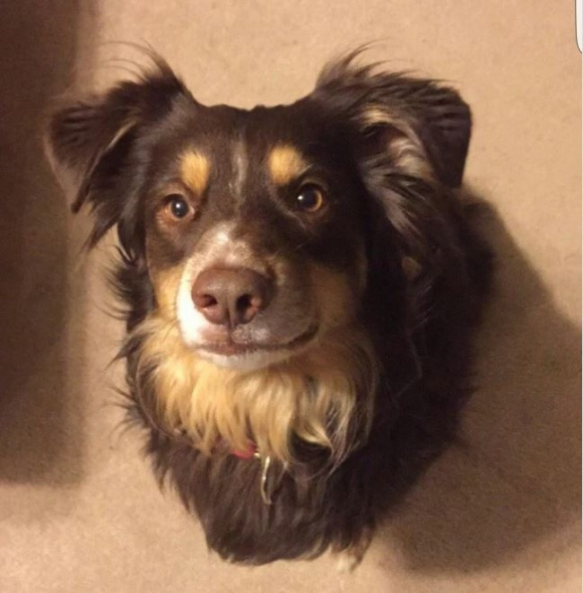 25 misleading images make you stare and look back Picture 20