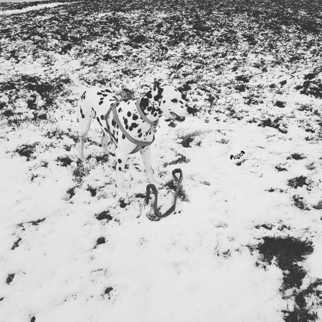 25 misleading images make you stare and look back Picture 25