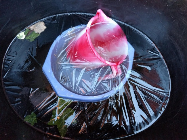 25 misleading images make you stare and look back Picture 3