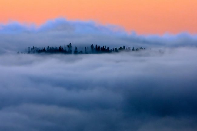 25 photos of 'brain twisting' make you look back several times Picture 17