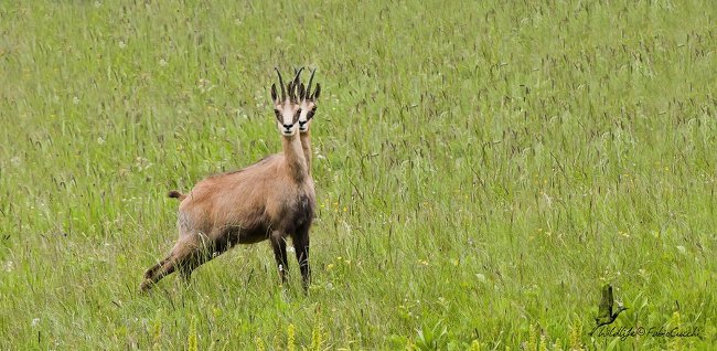 25 photos of 'brain twisting' make you look back several times Picture 8