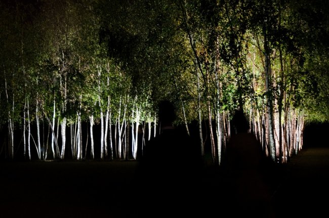 25 photos of 'brain twisting' make you look back several times Picture 9