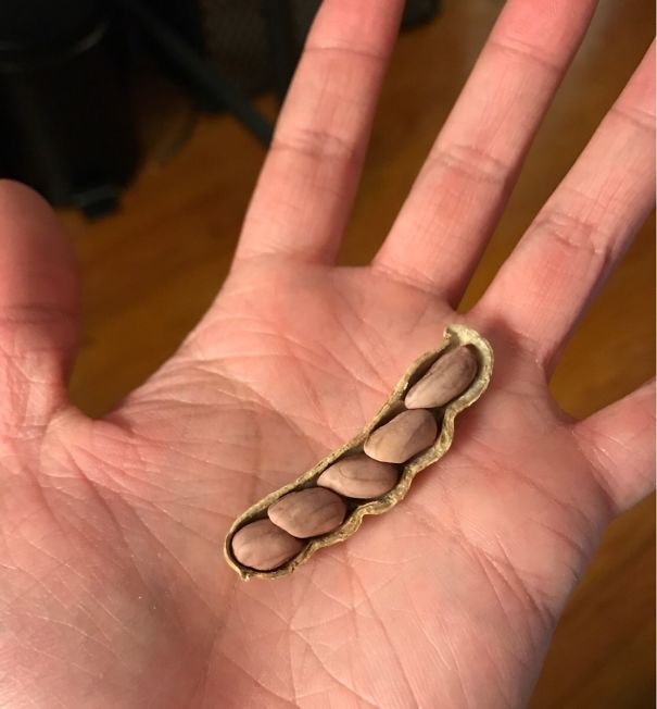 25+ photos show 'eating is like buying lottery tickets' Picture 11