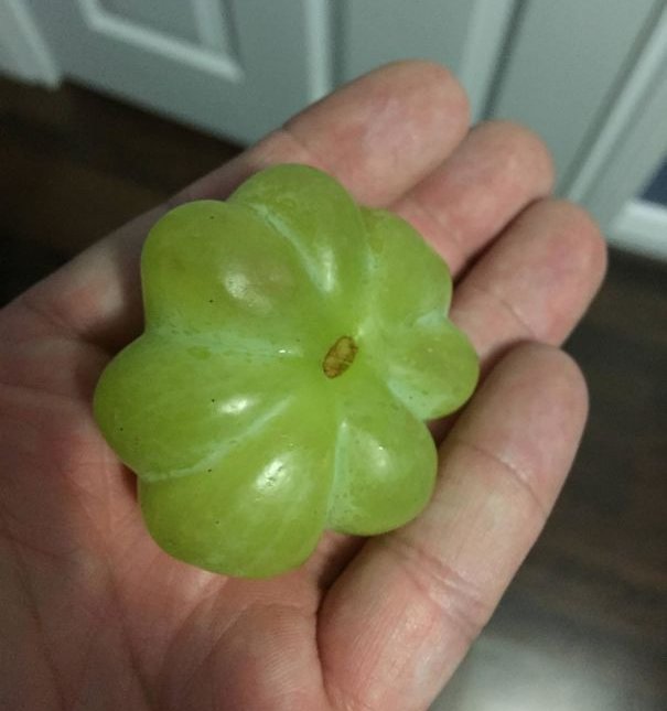 25+ photos show 'eating is like buying lottery tickets' Picture 18