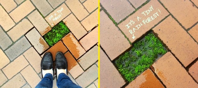 25 street artworks that bring you into another world Picture 25