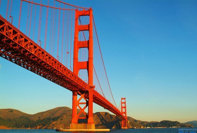 25 unexpected facts about orange sure you don't know Picture 3