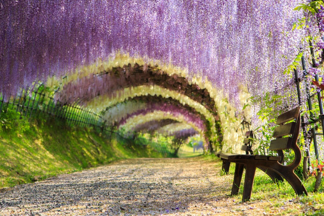 26 beautiful places like fairy tales may not be known Picture 11