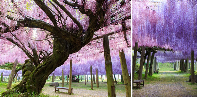 26 beautiful places like fairy tales may not be known Picture 12