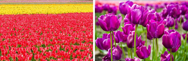 26 beautiful places like fairy tales may not be known Picture 50