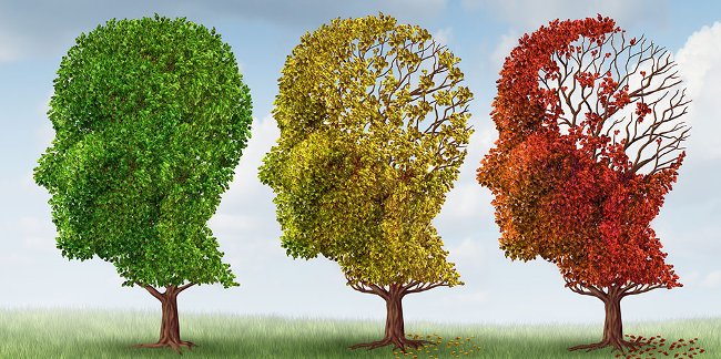 26 interesting facts about human psychology that you never knew Picture 3