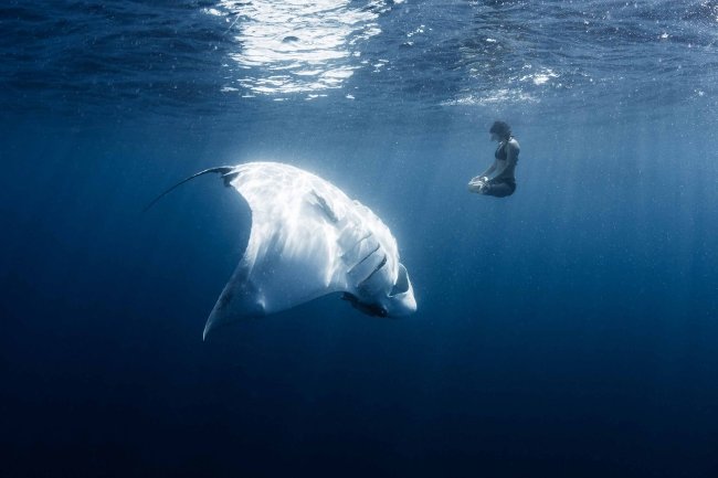 26 'moments' without photoshop still surprised viewers Picture 25