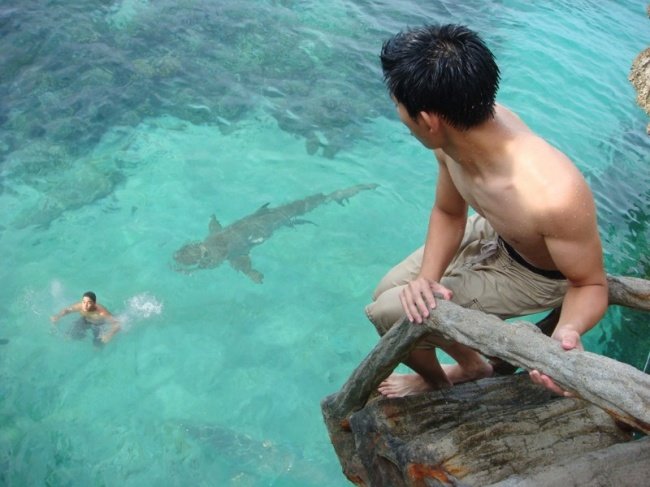 27 funny pictures make you say 'what happened' Picture 21