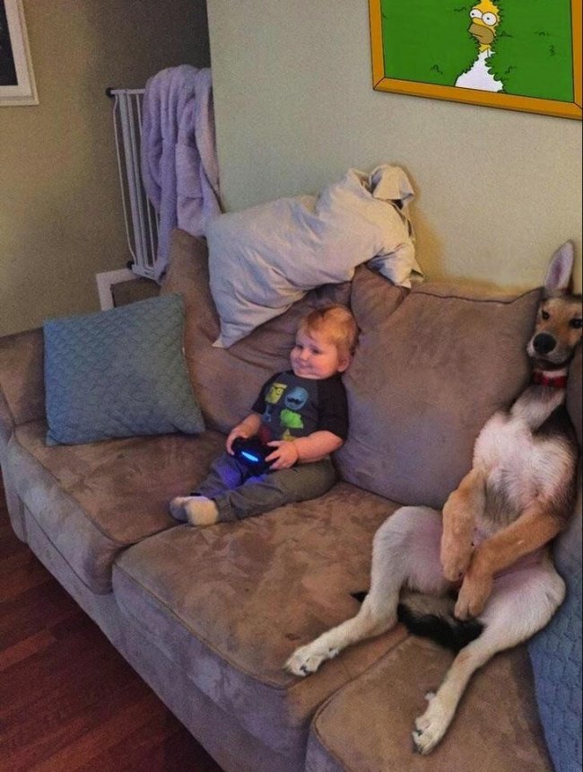 27 funny pictures show that a home with young children is a 'nightmare' Picture 25