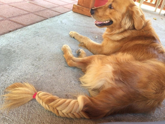 27 funny pictures show that a home with young children is a 'nightmare' Picture 7