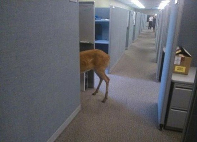 27 images show that work risks are inevitable Picture 10