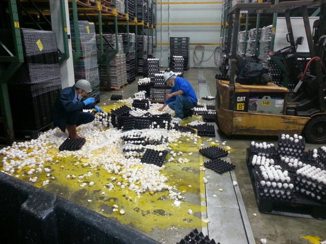 27 images show that work risks are inevitable Picture 16