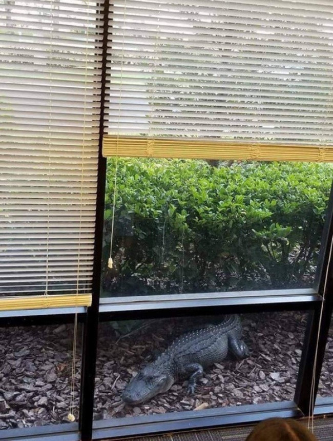 27 images show that work risks are inevitable Picture 3