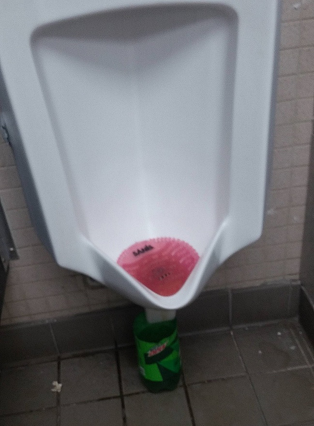 27 images that prove you may not belong to this world Picture 15